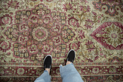 10x15.5 Antique Distressed Kerman Carpet by Old New House® - product image 2 for Resin Society