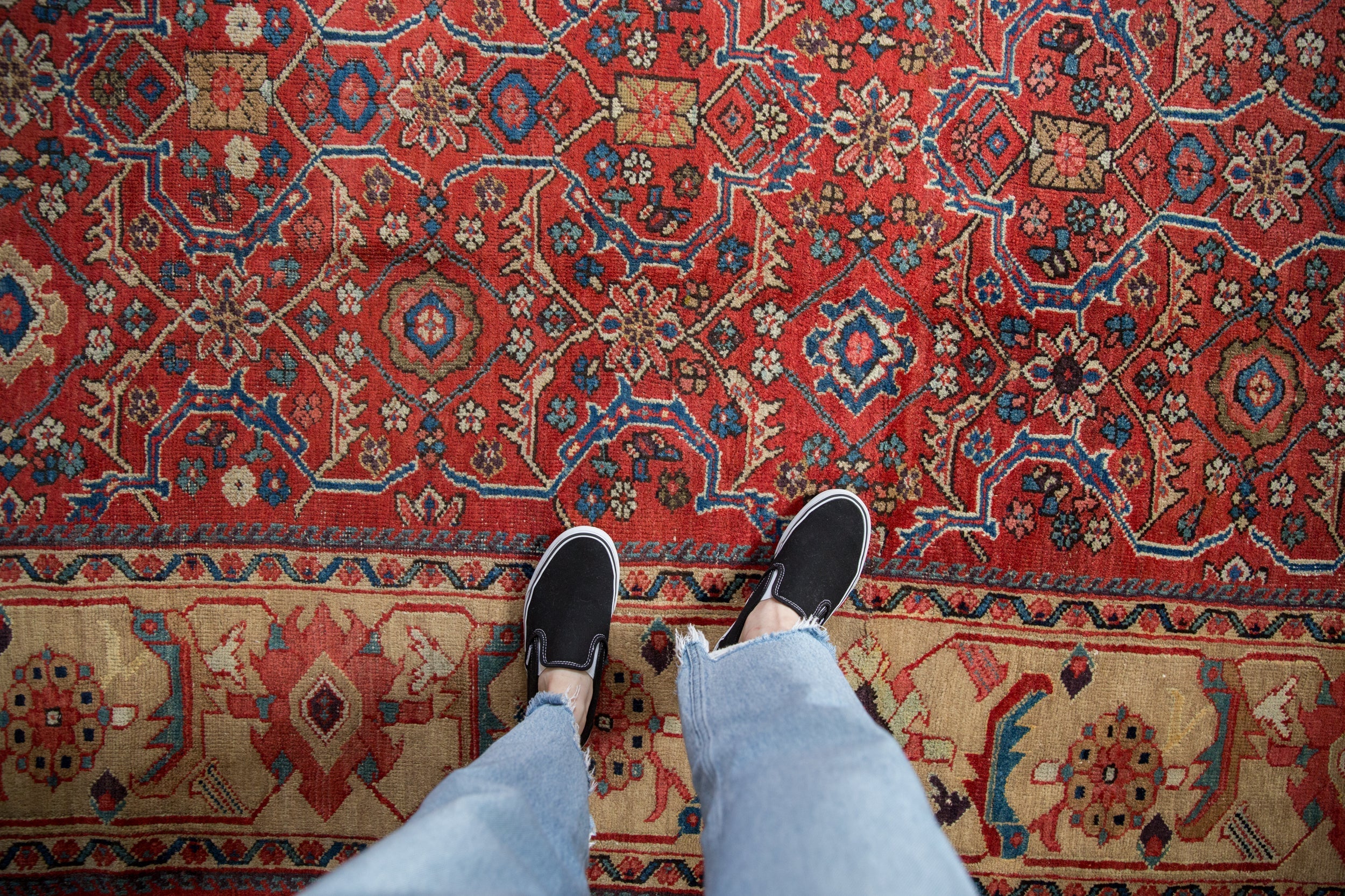 10.5x14.5 Vintage Mahal Carpet by Old New House® - product image 2 for Resin Society