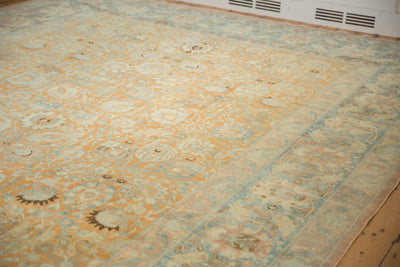10.5x18.5 Vintage Distressed Tabriz Carpet by Old New House® - product image 7 for Resin Society