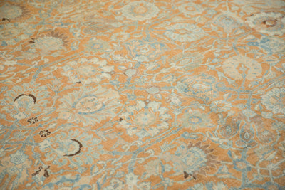 10.5x18.5 Vintage Distressed Tabriz Carpet by Old New House® - product image 15 for Resin Society