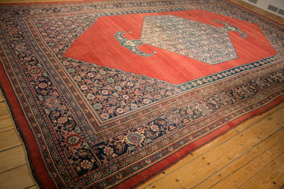 9x14.5 Antique Bijar Carpet by Old New House® - product image 7 for Resin Society
