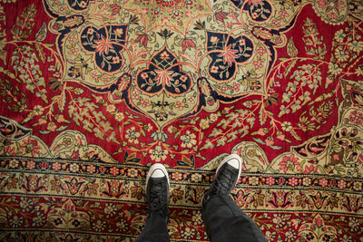 9x12 Antique Fine Tea Washed Kerman Carpet by Old New House® - product image 2 for Resin Society