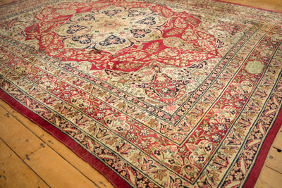 9x12 Antique Fine Tea Washed Kerman Carpet by Old New House® - product image 7 for Resin Society