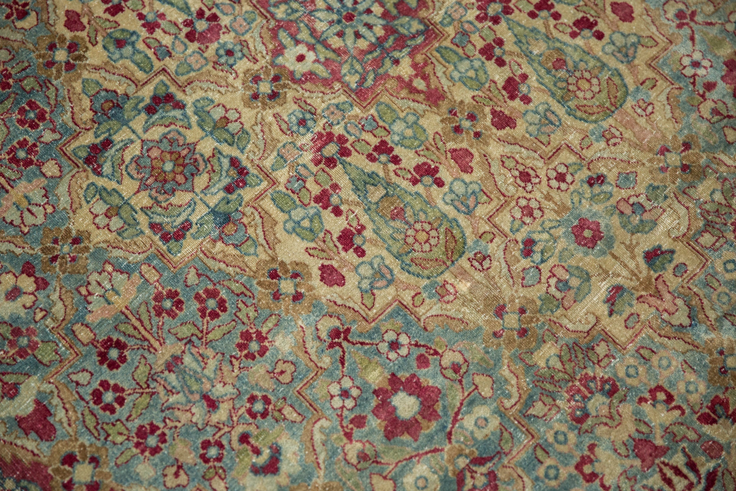 8.5x12 Vintage Distressed Kerman Carpet by Old New House® - product image 11 for Resin Society