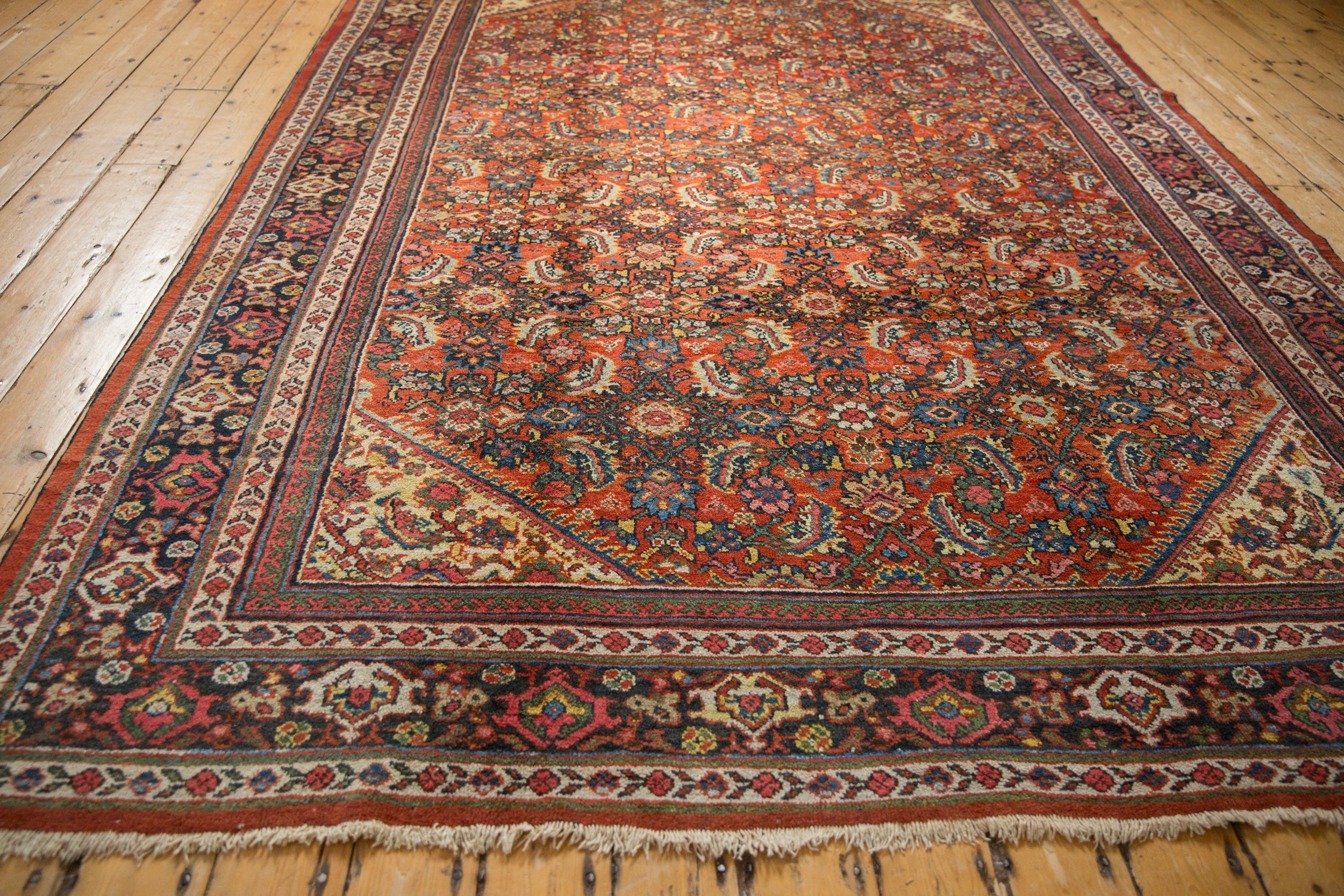 8x10.5 Vintage Mahal Carpet by Old New House® - product image 5 for Resin Society