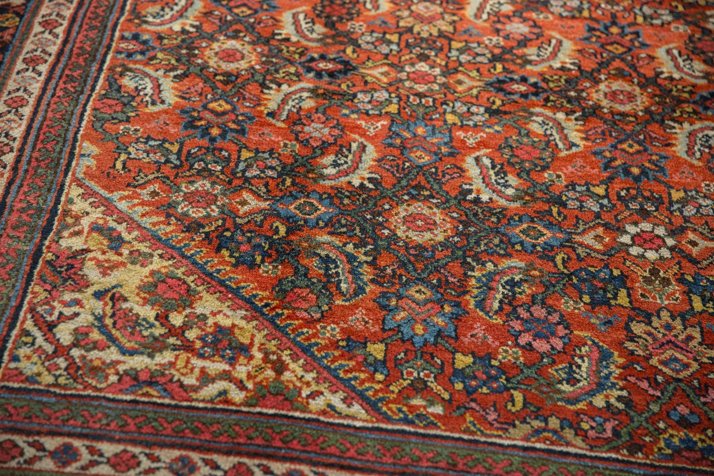 8x10.5 Vintage Mahal Carpet by Old New House® - product image 6 for Resin Society
