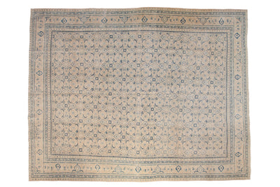 10x13.5 Vintage Distressed Mahal Carpet by Old New House® - main product image for Resin Society
