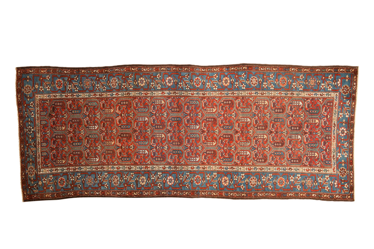 3.5x9.5 Antique Fine Kurdish Hamadan Rug Runner by Old New House® - main product image for Resin Society