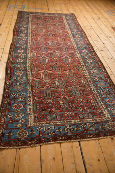 3.5x9.5 Antique Fine Kurdish Hamadan Rug Runner by Old New House® - product image 7 for Resin Society