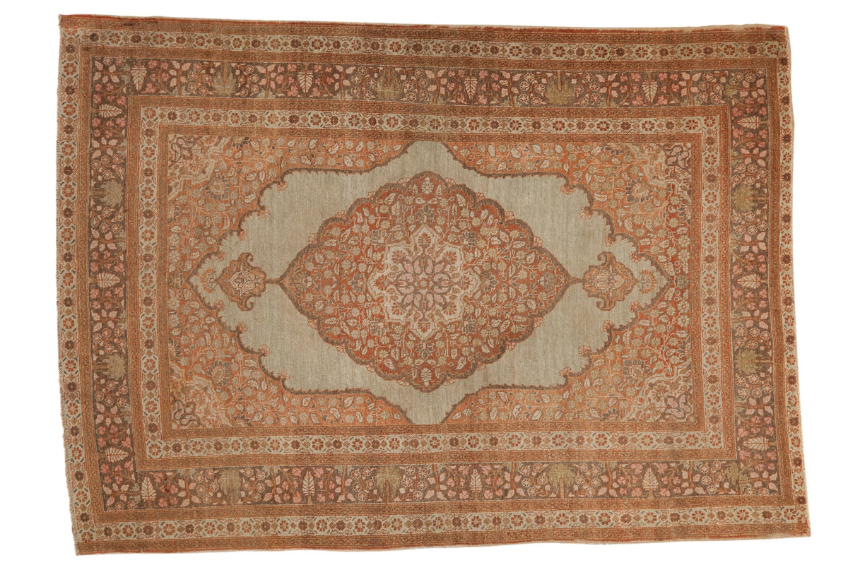 4x6 Antique Tabriz Rug by Old New House® - main product image for Resin Society