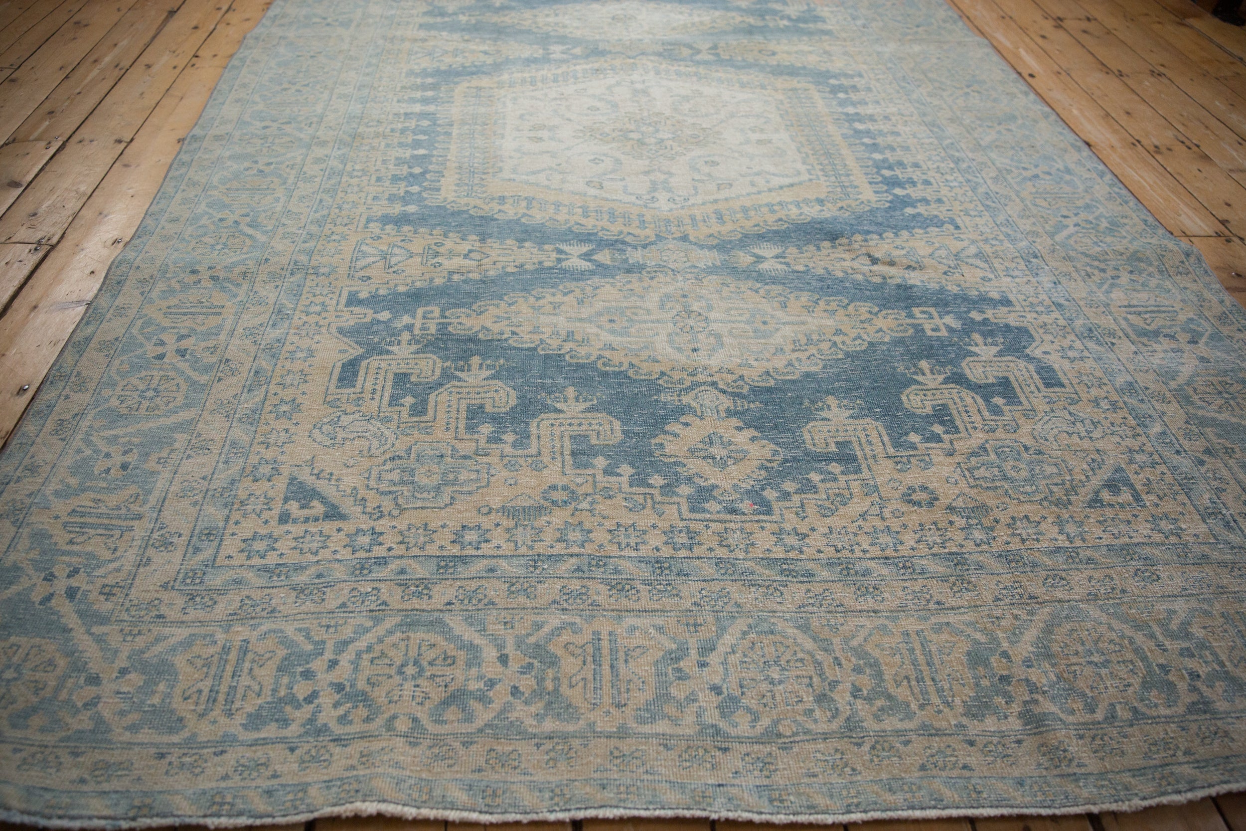 7x10 Vintage Distressed Veece Carpet by Old New House® - product image 8 for Resin Society