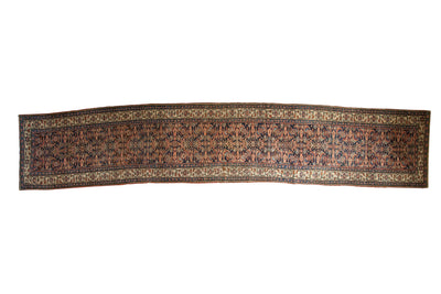 3.5x18 Antique Bijar Rug Runner by Old New House® - main product image for Resin Society