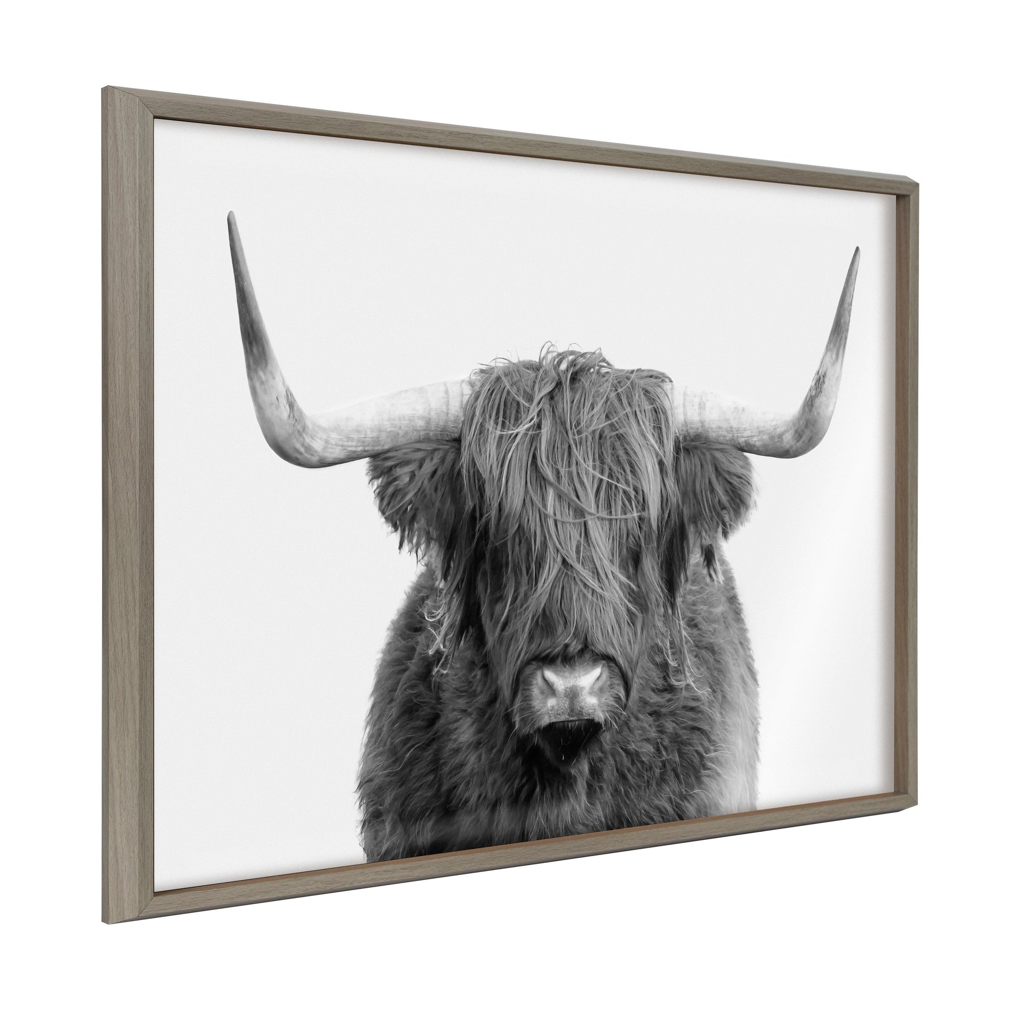 Framed printed art featuring a portrait of a Highland cow with a rustic, natural background