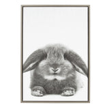 Close-up black and white framed canvas of a fluffy rabbit with long ears lying down, centered on a plain white background.