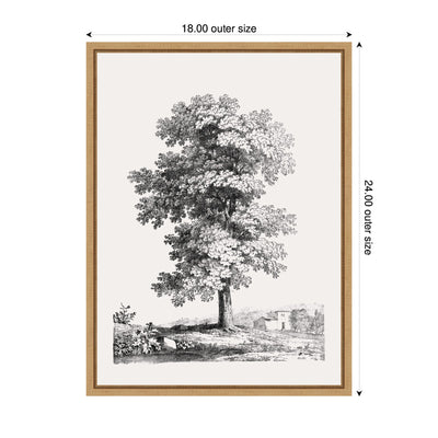 Sylvie Jean Victor Bertin Study of a Tree 1816 Framed Canvas by The Art Institute of Chicago