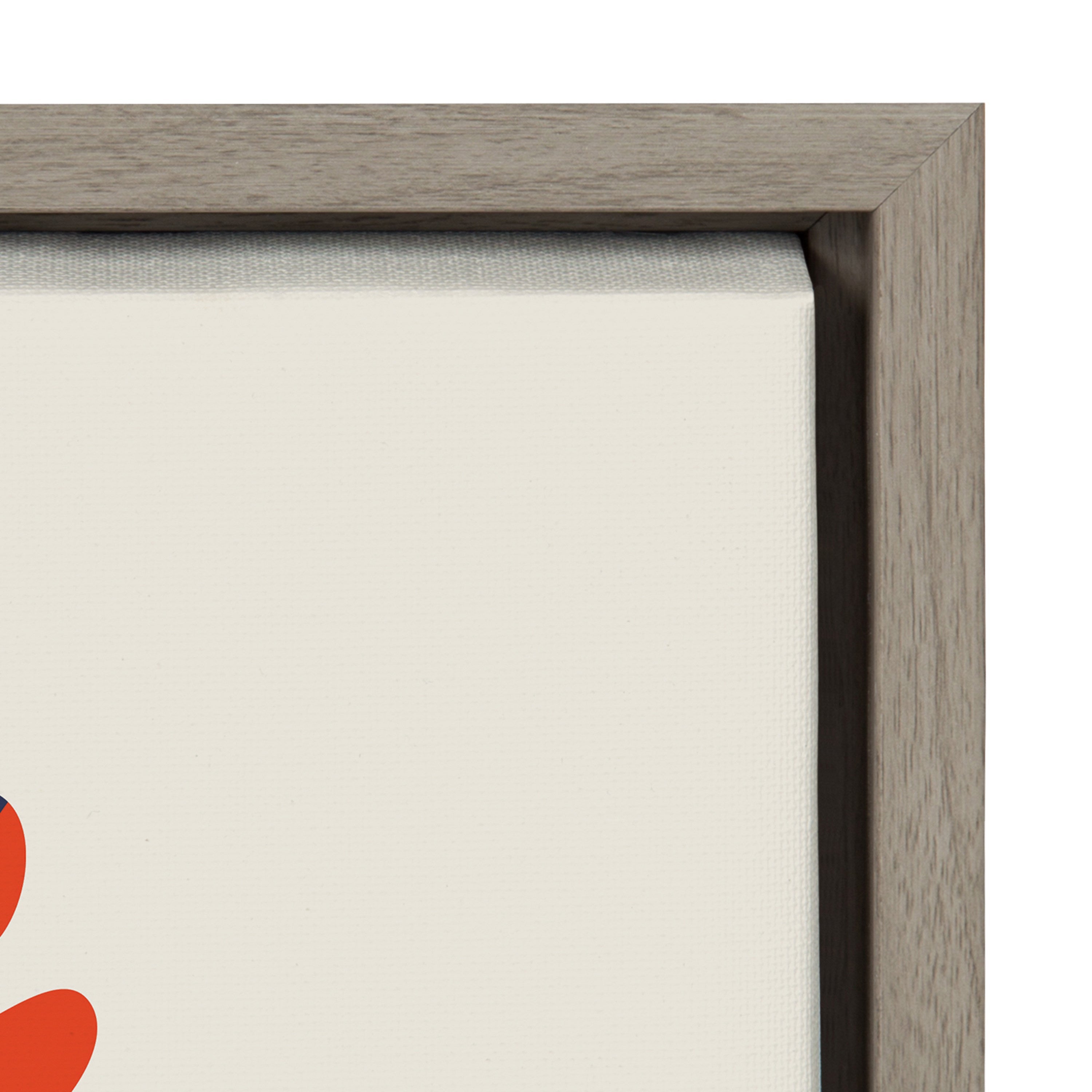Sylvie Snail Framed Canvas by kateandlaurel - product image 17 for Resin Society