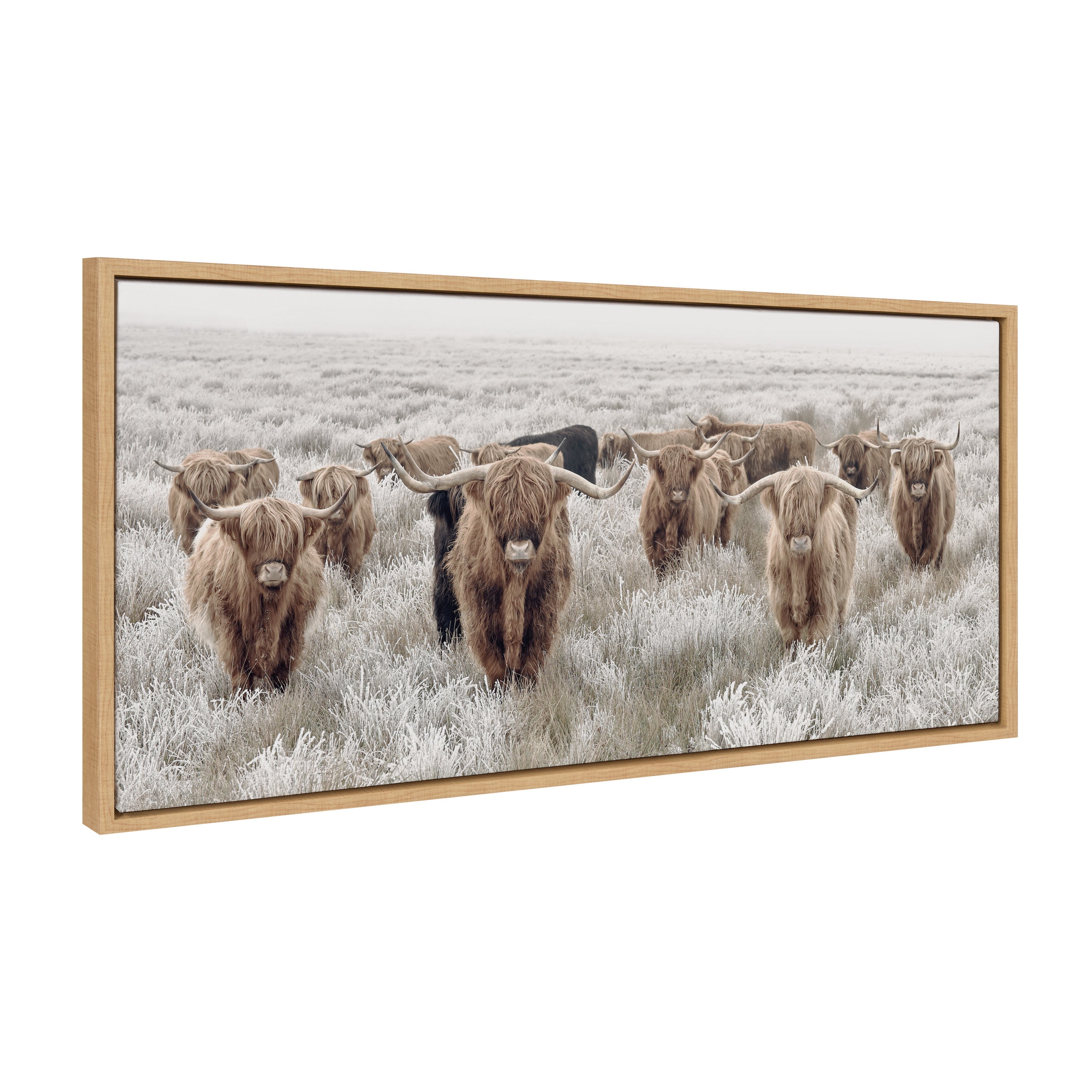 Sylvie Herd of Highland Cows Color Framed Canvas by The Creative Bunch by kateandlaurel - product image 13 for Resin Society