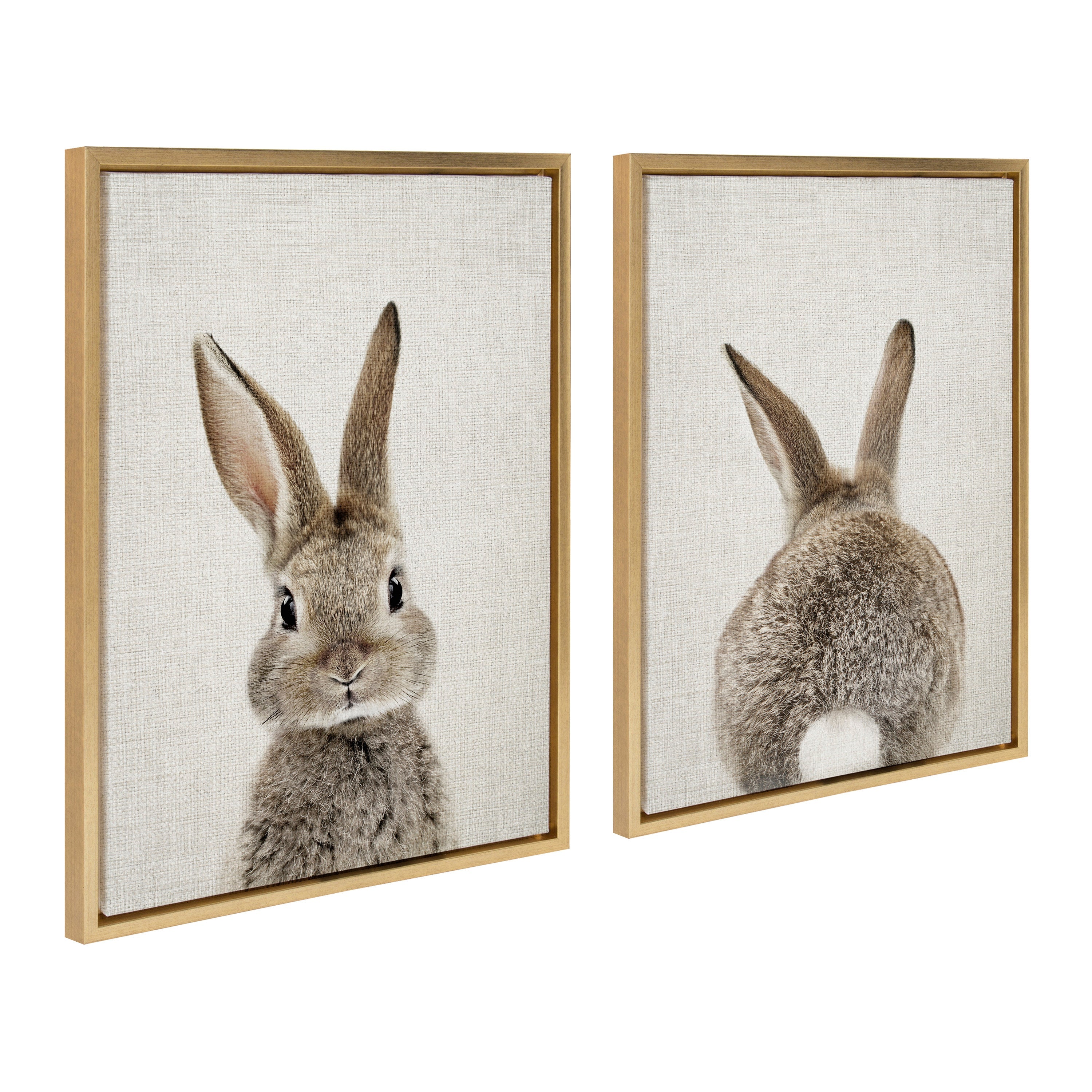 Sylvie Bunny Portrait and Bunny Tail Framed Canvas Art Set by Amy Peterson Art Studio
