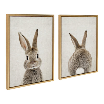 Sylvie Bunny Portrait and Bunny Tail Framed Canvas Art Set by Amy Peterson Art Studio