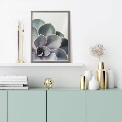 Blake Succulent 5 Framed Printed Glass by kateandlaurel - product image 8 for Resin Society