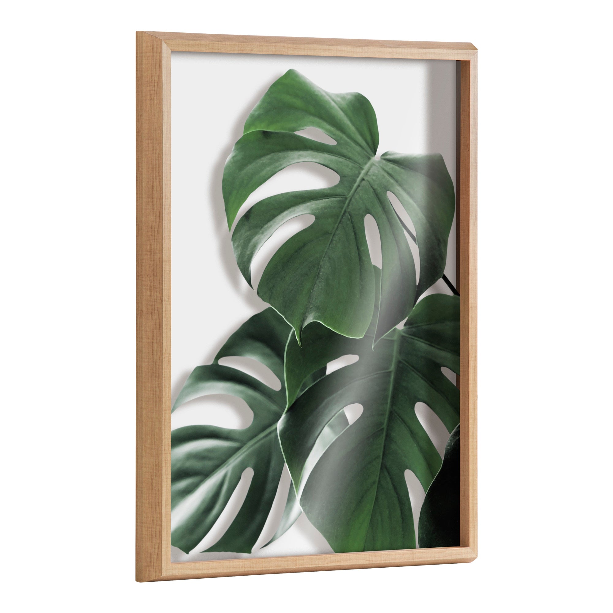 Blake Monstera leaves Framed Printed Glass by Amy Peterson Art Studio by kateandlaurel - main product image for Resin Society