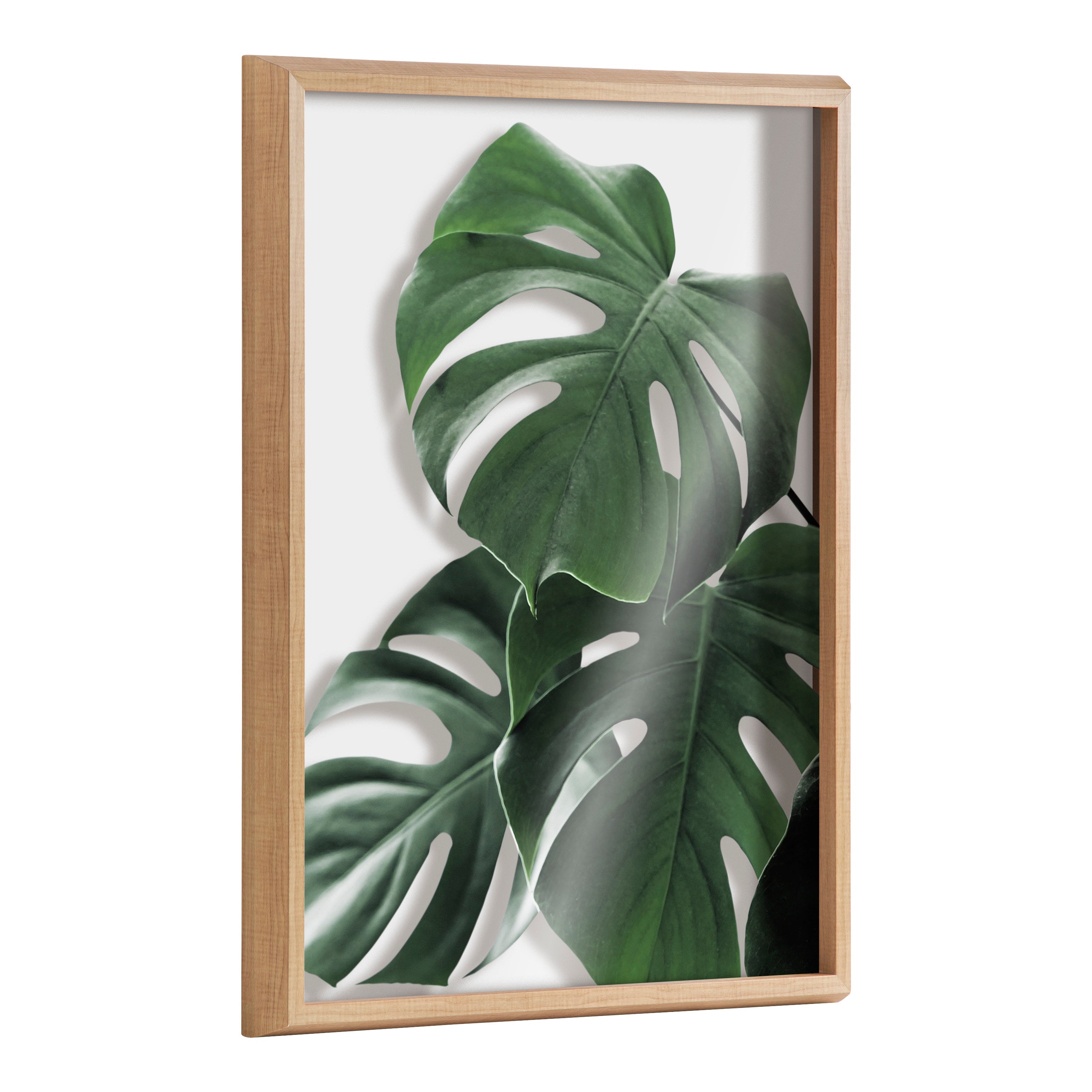 Blake Monstera leaves Framed Printed Glass by Amy Peterson Art Studio by kateandlaurel - main product image for Resin Society