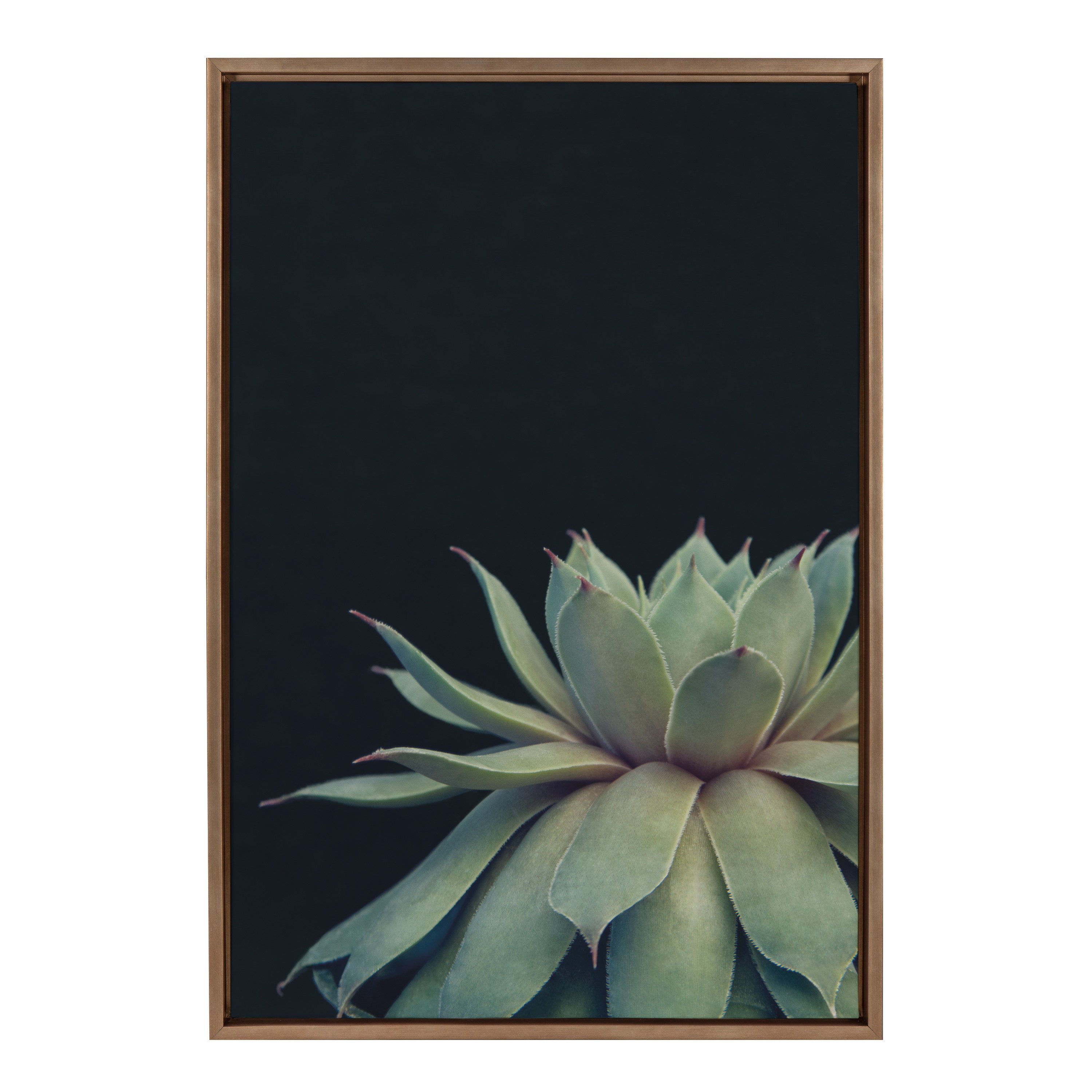 Sylvie Succulent Framed Canvas by F2 Images by kateandlaurel - product image 8 for Resin Society