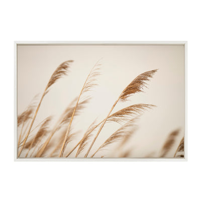 Sylvie Marsh Grass No 8 Framed Canvas by Crystal Lynn Collins