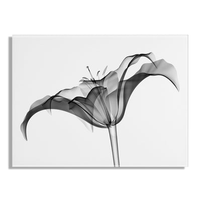 Lily X Ray Floral Floating Acrylic Art by The Creative Bunch Studio by kateandlaurel - product image 2 for Resin Society