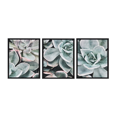 Sylvie Botanical Succulent Plants Framed Canvas Set by The Creative by kateandlaurel - main product image for Resin Society