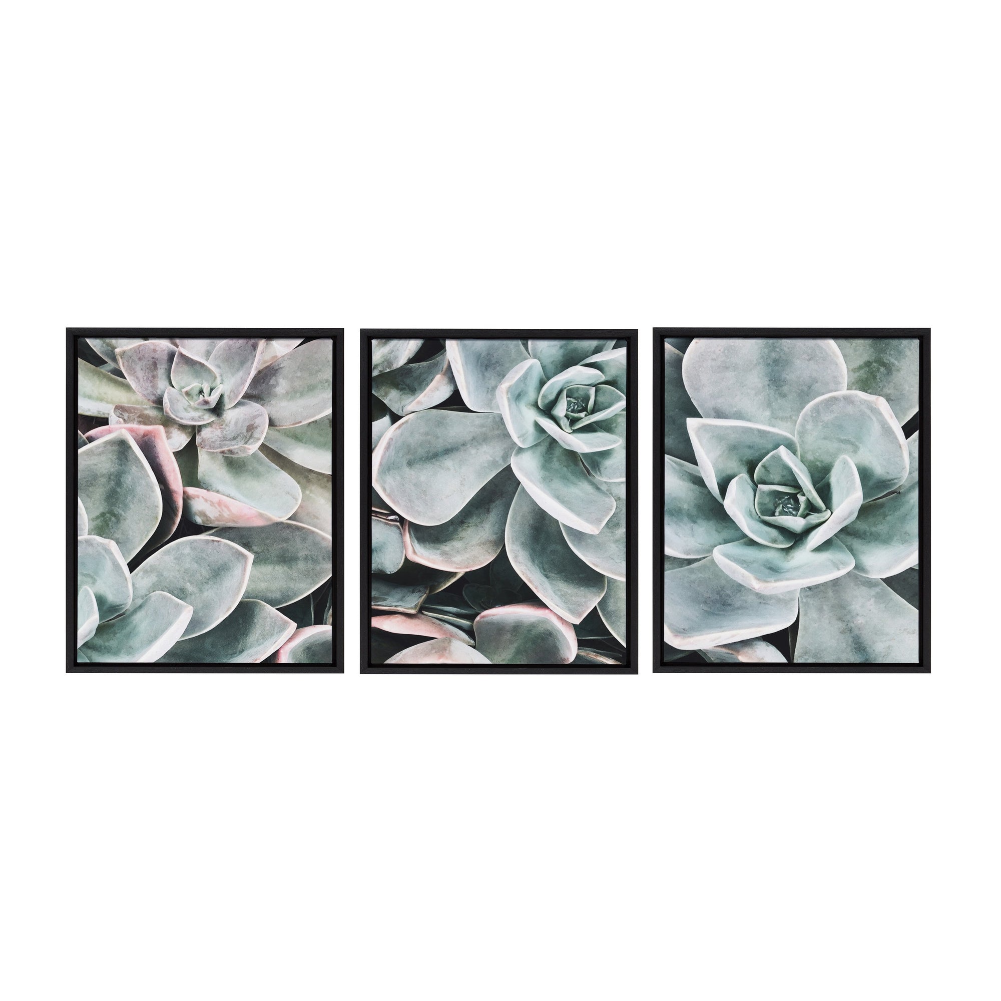 Sylvie Botanical Succulent Plants Framed Canvas Set by The Creative by kateandlaurel - product image 10 for Resin Society