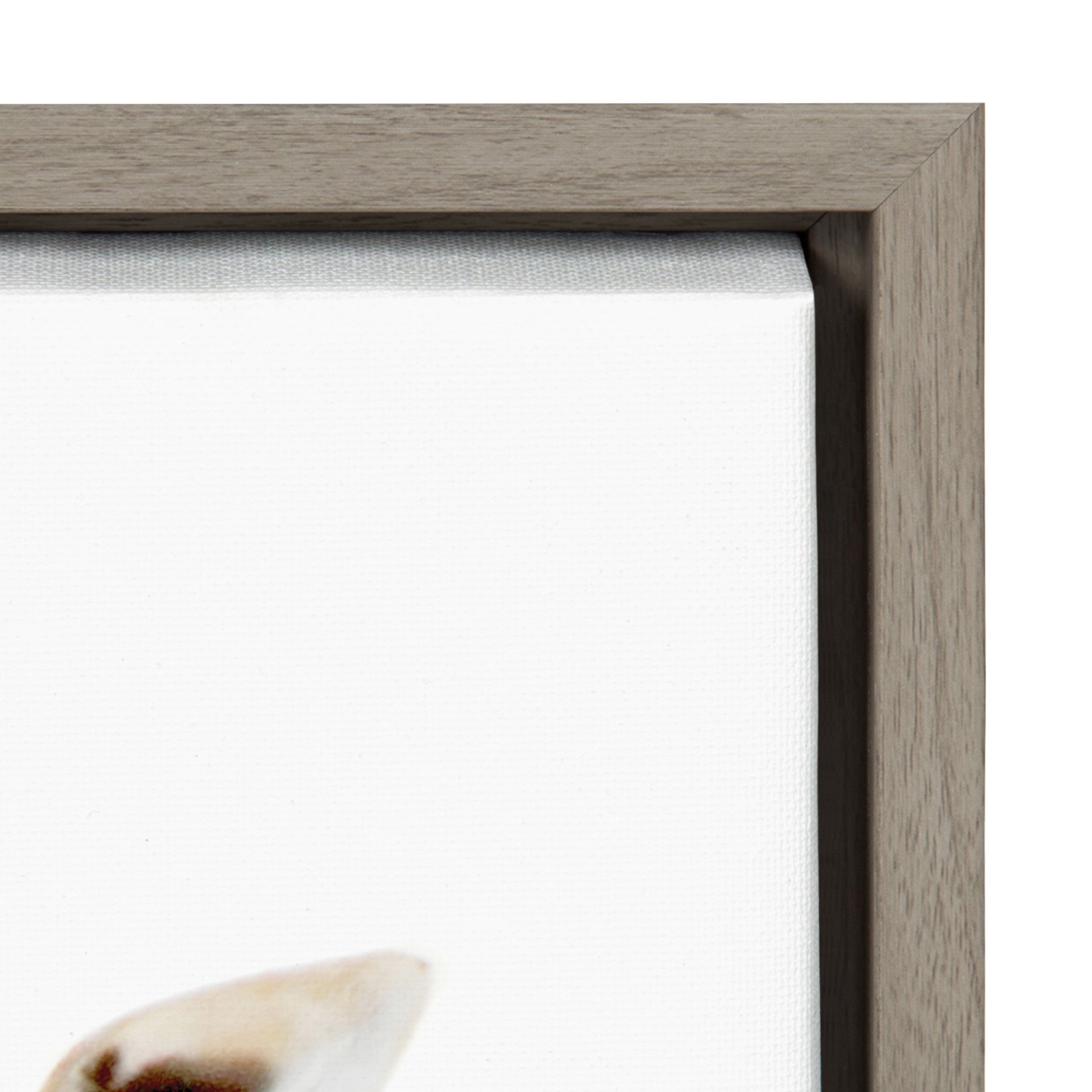 Sylvie Bubble Gum Giraffe Framed Canvas by Amy Peterson Art Studio by kateandlaurel - product image 15 for Resin Society