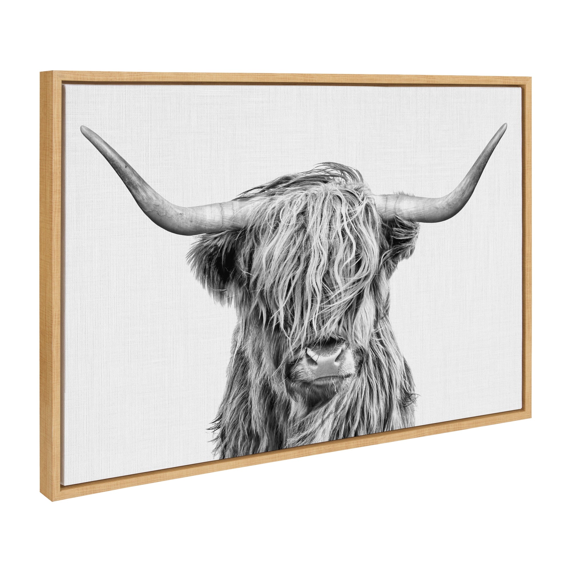 Sylvie Highland Cow 2 Framed Canvas by kateandlaurel - main product image for Resin Society