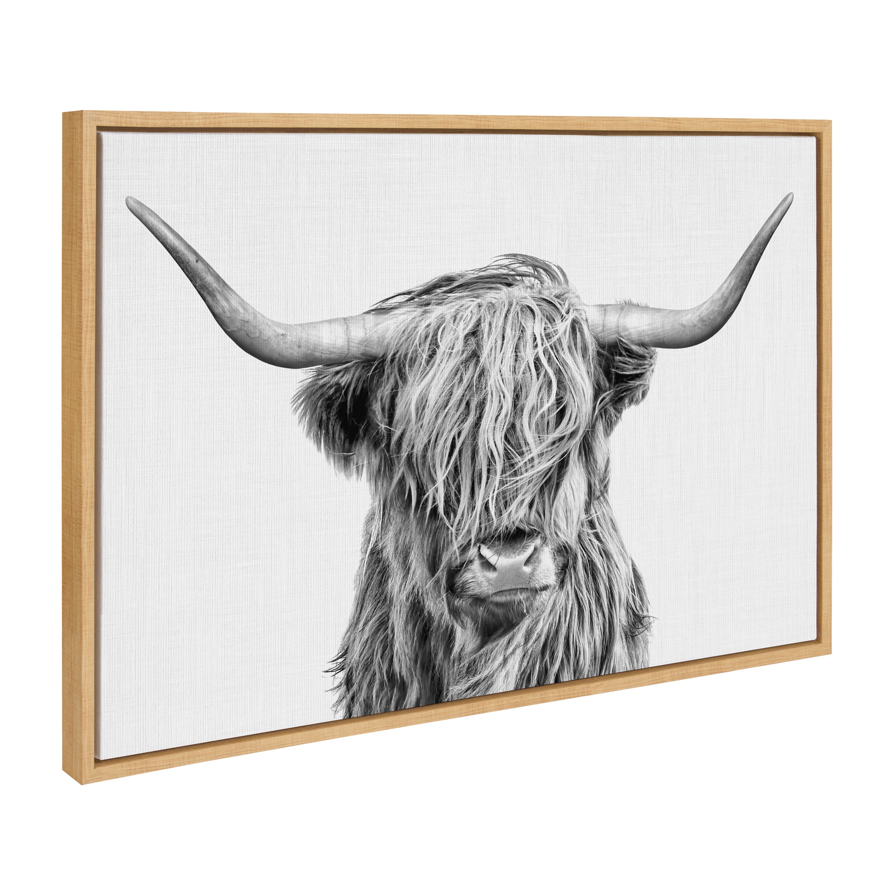 Sylvie Highland Cow 2 Framed Canvas by kateandlaurel - main product image for Resin Society