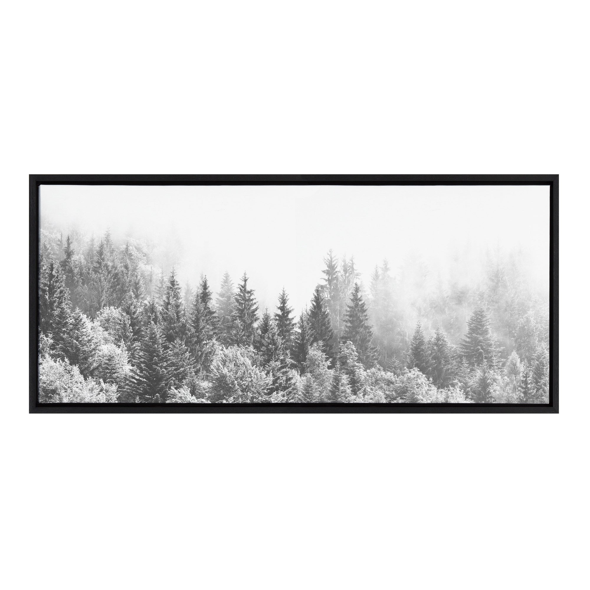 Sylvie Forest On A Foggy Day BW Framed Canvas