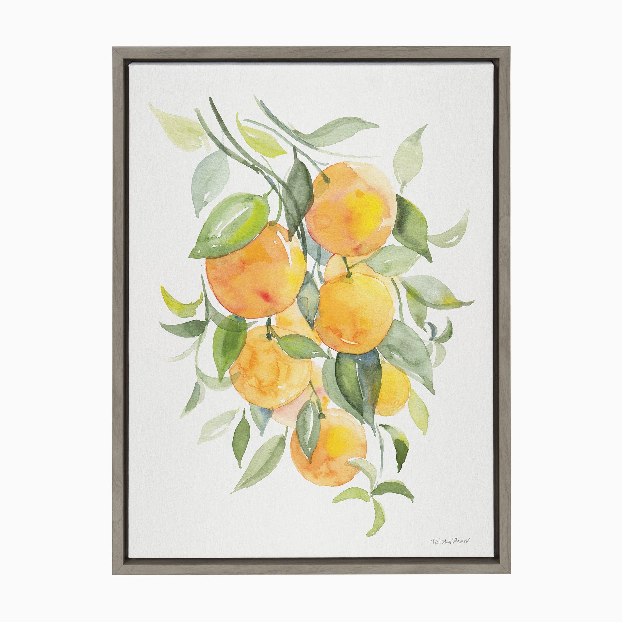 Sylvie Orange Citrus Framed Canvas by kateandlaurel - product image 10 for Resin Society