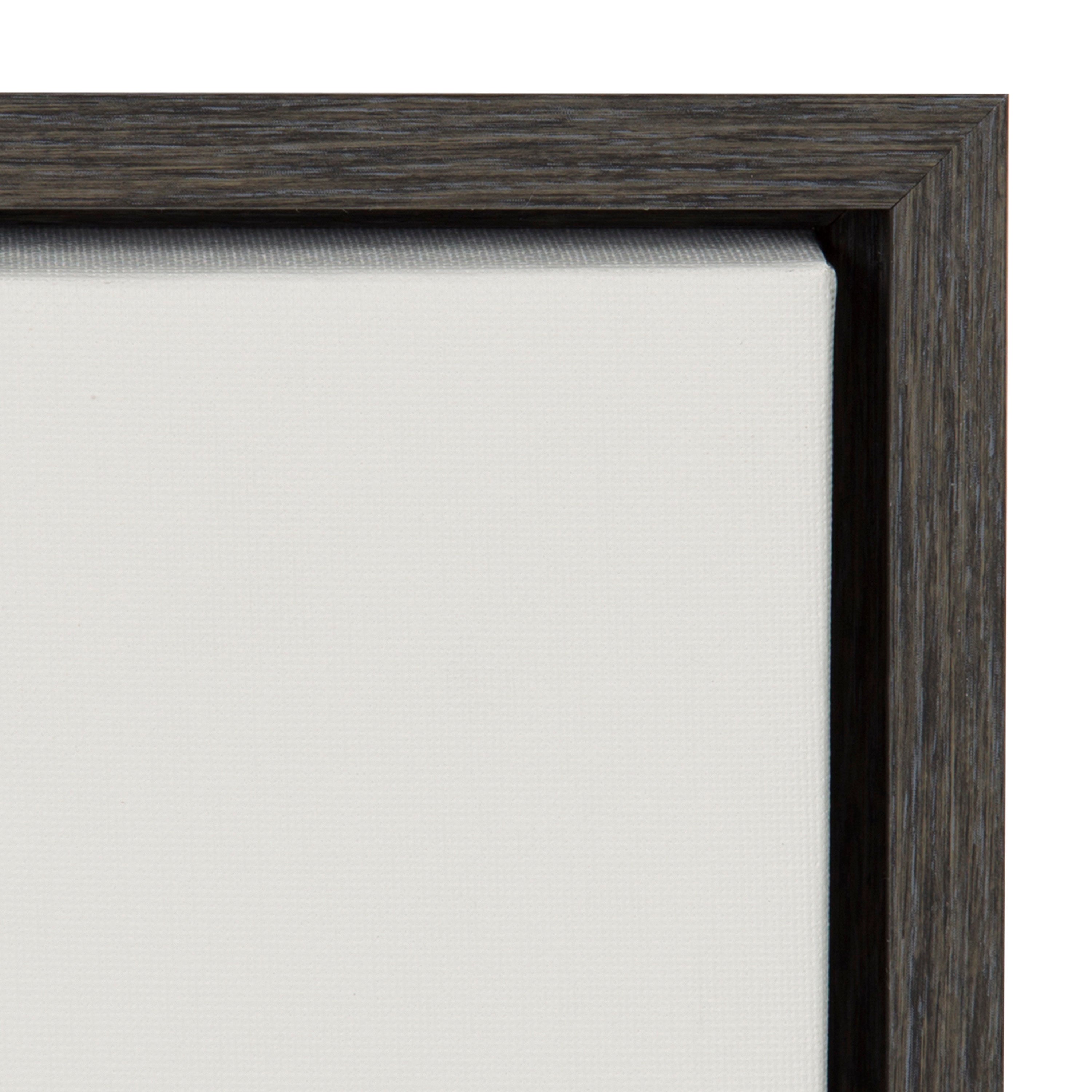 Sylvie Haze Aloe Succulent Framed Canvas by The Creative Bunch Studio by kateandlaurel - product image 12 for Resin Society
