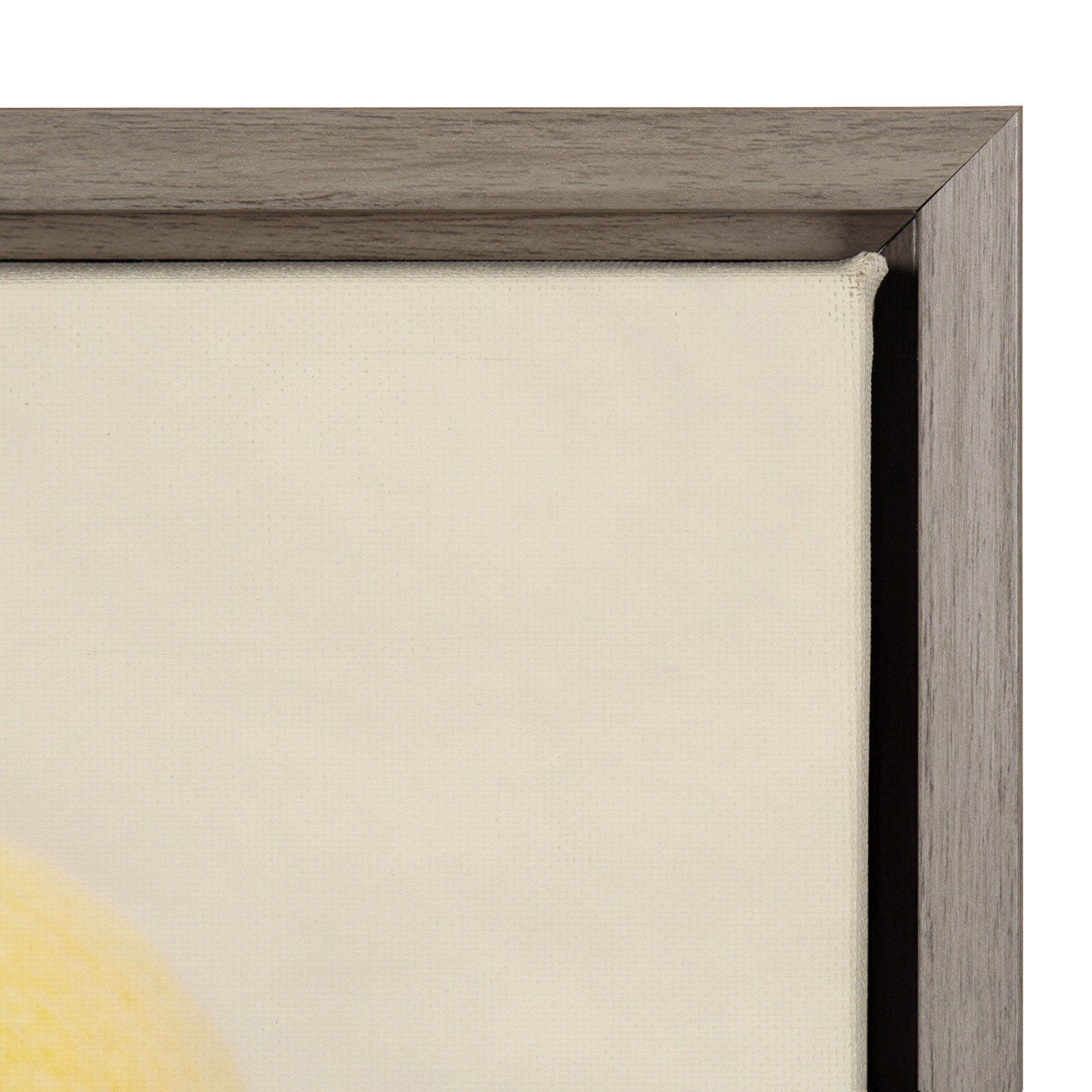 Sylvie Lemons Framed Canvas by kateandlaurel - product image 3 for Resin Society
