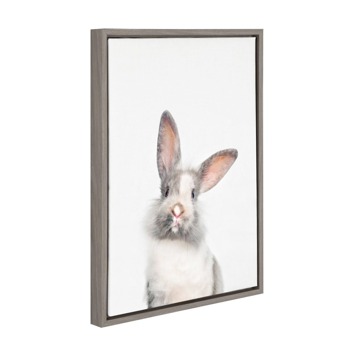 Sylvie Animal Studio Cute Male Rabbit Framed Canvas by kateandlaurel - product image 2 for Resin Society