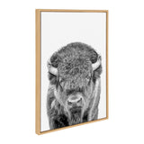 Framed black and white close-up portrait of a bison facing forward with detailed fur texture and curved horns against a plain white background.