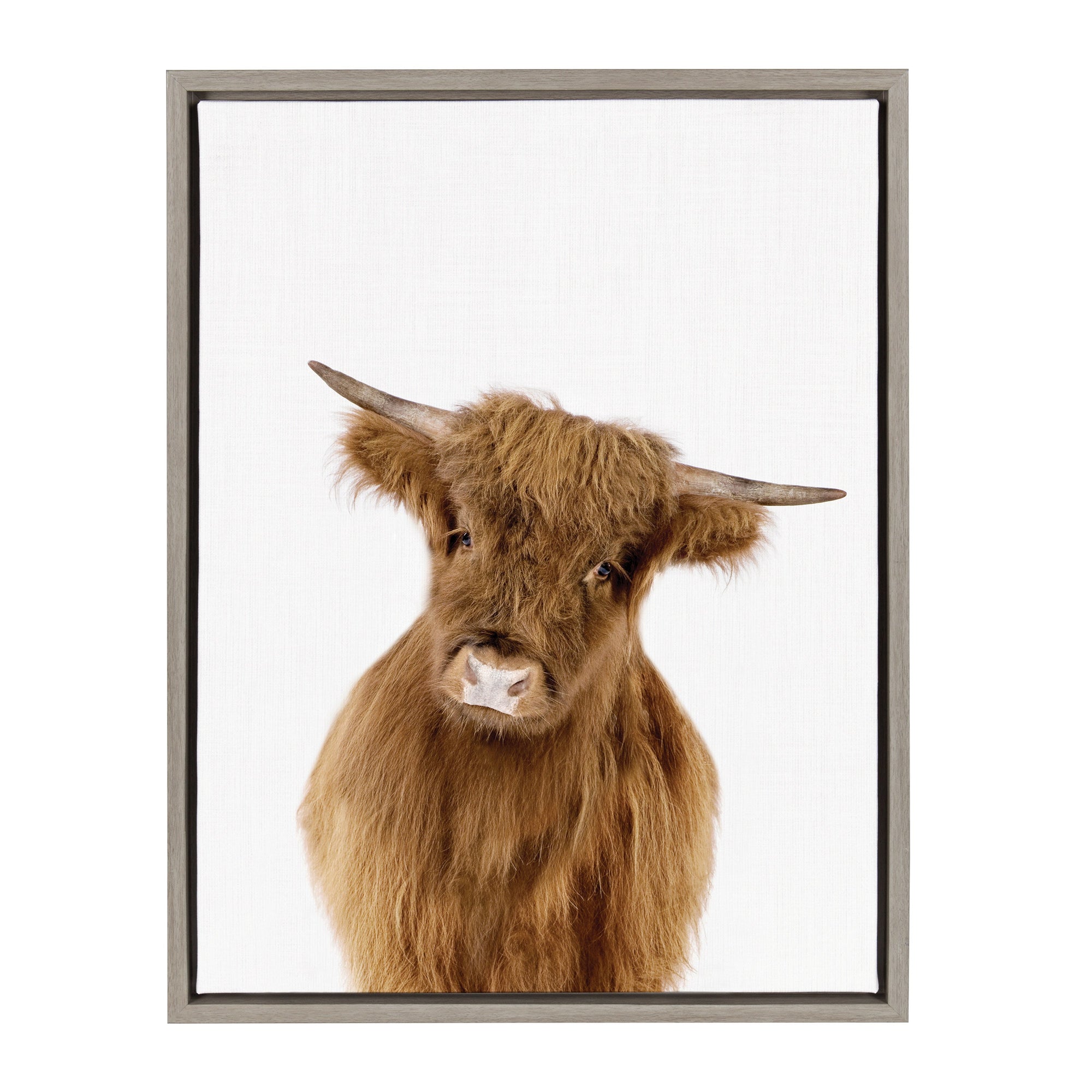 Sylvie Animal Studio Highland Framed Canvas by kateandlaurel - product image 8 for Resin Society