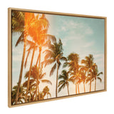 Framed canvas print showing tall palm trees with sunlight filtering through and a partly cloudy blue sky background.