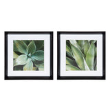 Calter Succulent Leaves Framed Print Art Set by Amy Peterson by kateandlaurel - product image 10 for Resin Society