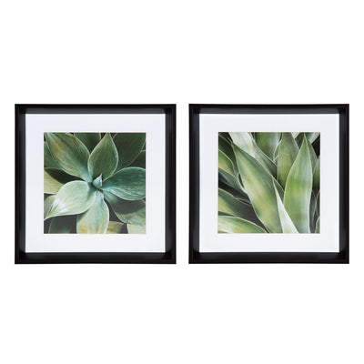 Calter Succulent Leaves Framed Print Art Set by Amy Peterson by kateandlaurel - product image 10 for Resin Society
