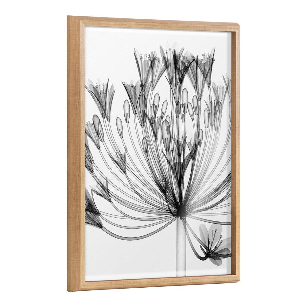 Black and white X-ray style floral printed artwork framed in polystyrene