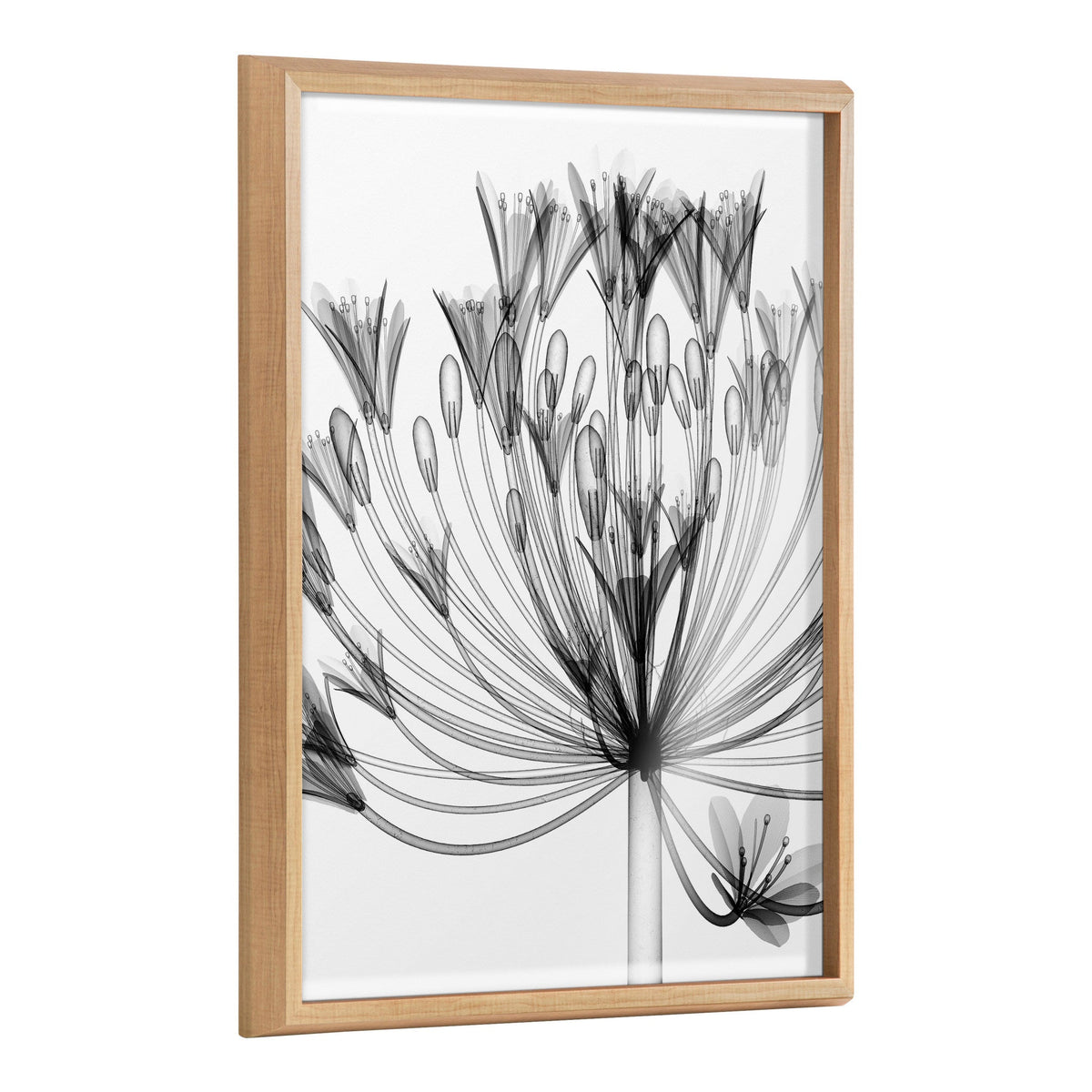 Black and white X-ray style floral printed artwork framed in polystyrene