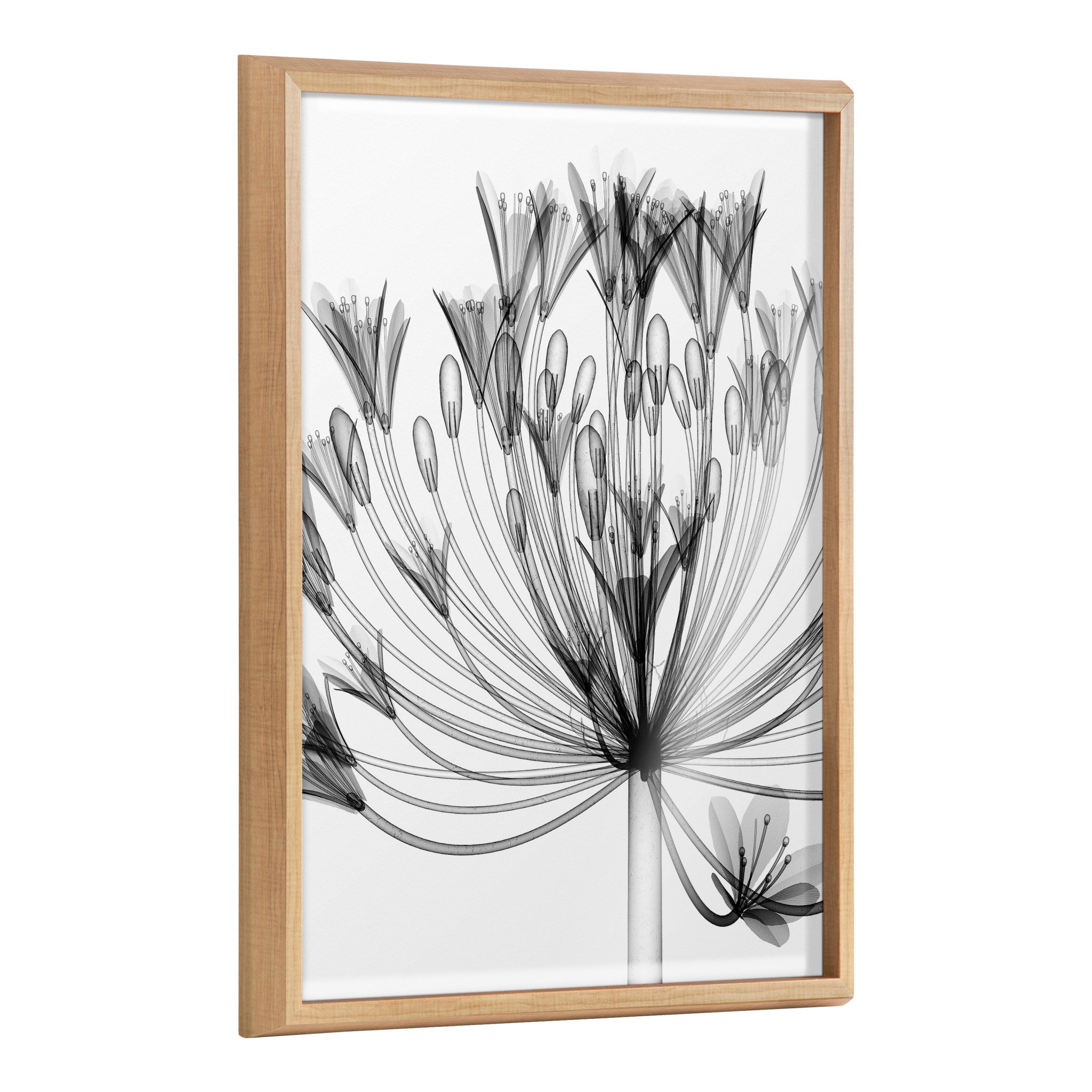 Black and white X-ray style floral printed artwork framed in polystyrene