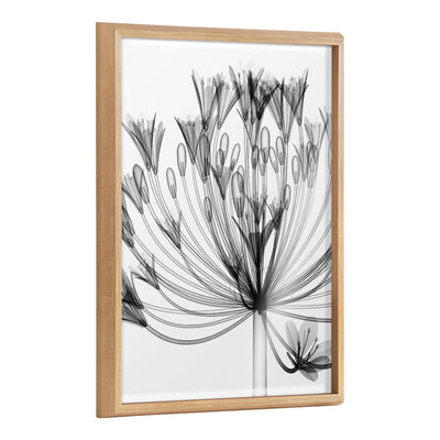 Black and white X-ray style floral printed artwork framed in polystyrene