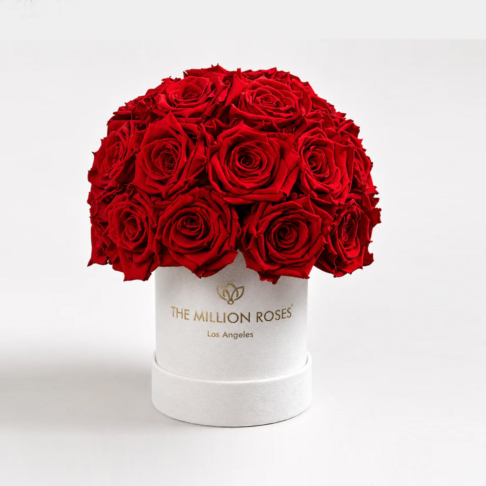 Essence Beige Suede Superdome Box featuring 38-40 vibrant red roses in a rounded crown arrangement atop a beige suede box