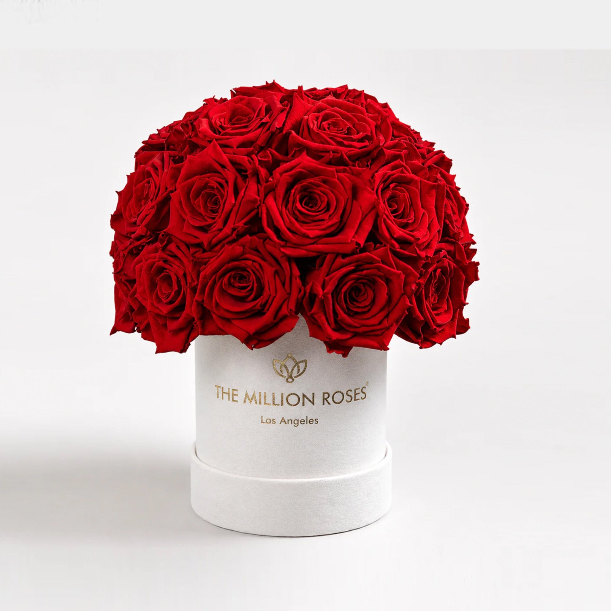Essence Beige Suede Superdome Box featuring 38-40 vibrant red roses in a rounded crown arrangement atop a beige suede box